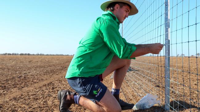 Queensland Reds flanker Liam Wright mending fences at Barcaldine on the Reds-to-Regions tour. Photo: Tom Mitchell