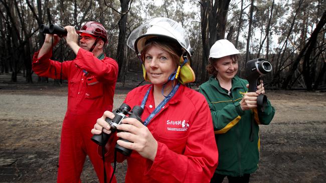 Peter Hutchison, Kathy Burbidge and Claire Moore from SAVEM checking for wildlife after the Cherry Gardens fire. Picture: Kelly Barnes