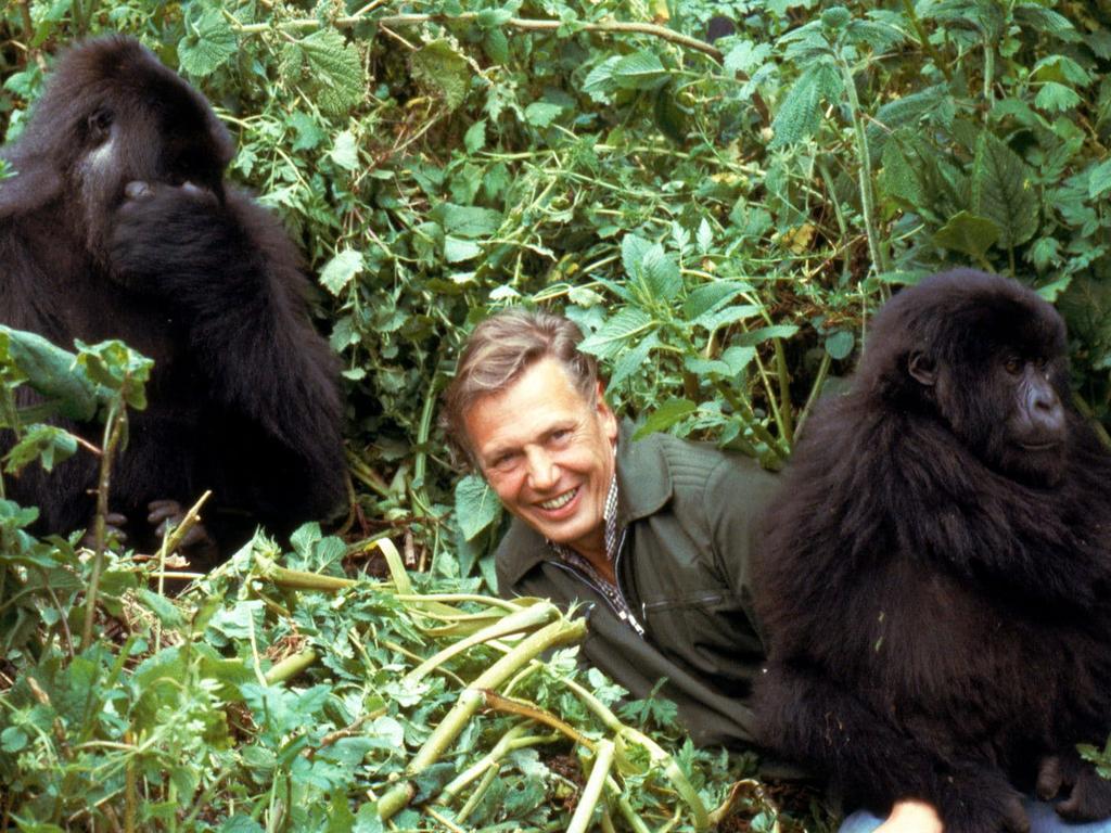 Sir David Attenborough: Seven Worlds, One Planet His Best Series Yet ...