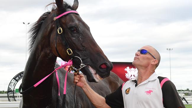 Justin Anderson has worked wonders with Emerald Kingdom. Picture: Trackside Photography