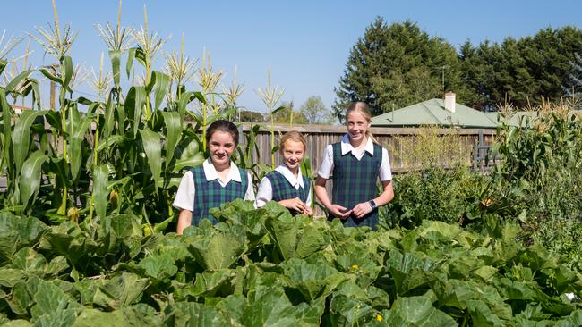 Kinross Wolaroi School students. Picture: Rachel Gordon