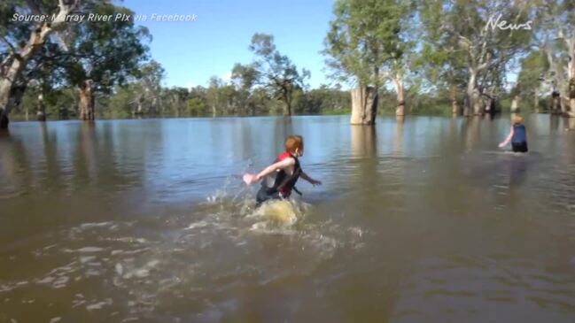 River Murray ongoing floods crisis