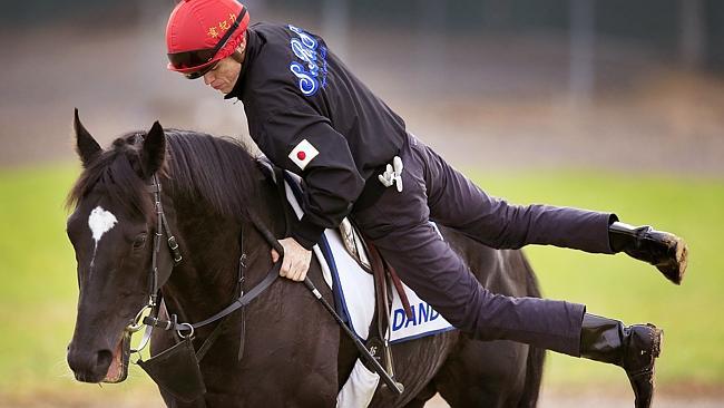 Craig Williams dismounts from Dandino after trackwork at Werribee. Picture: Wayne Ludbey