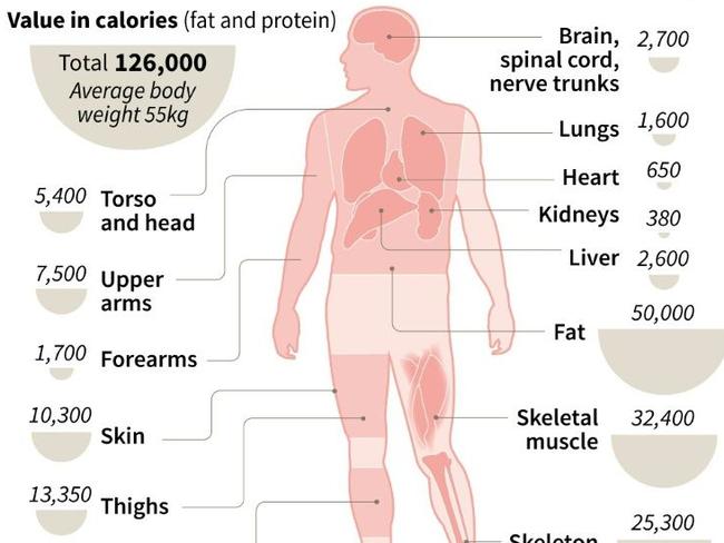 cannibals-nutrition-guide-scientists-create-disturbing-document