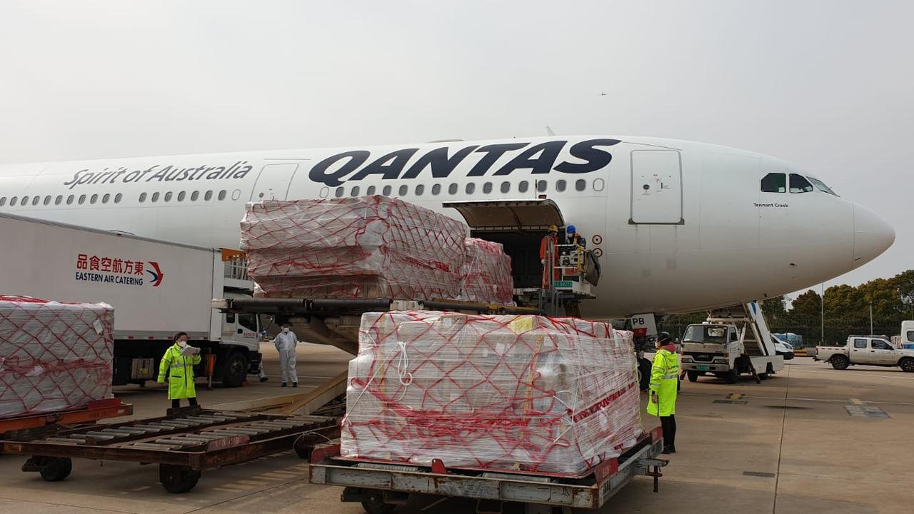 Qantas best sale freight pets