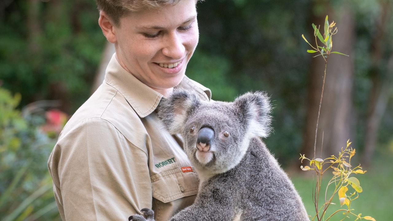 Robert Irwin talks to Kids News about looking after wildlife and the  environment | KidsNews