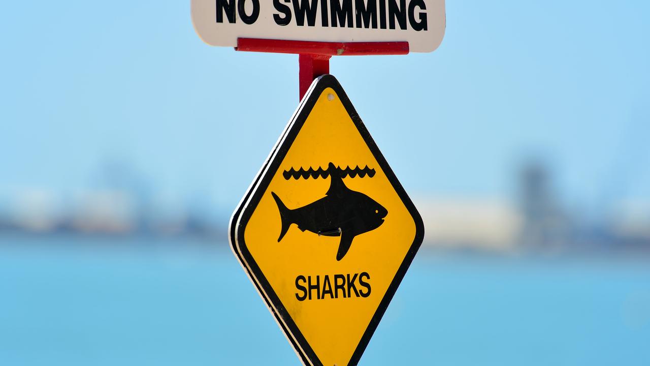 A man has been bitten by a shark near Cairns. Picture: File/Alix Sweeney