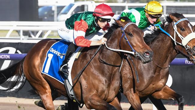 Amelia's Jewel ridden by Damian Lane wins the Furphy Let's Elope Stakes at Flemington Racecourse on September 16, 2023 in Flemington, Australia. (Photo by Brett Holburt/Racing Photos via Getty Images)