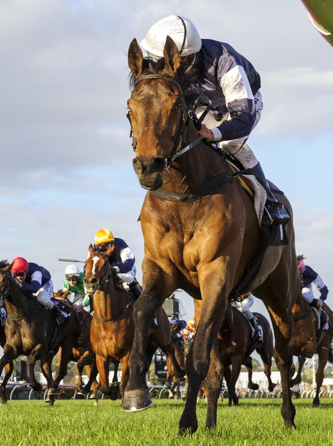 Almandin races away to win the Japan Racing Trophy at Flemington on September 16. Photo: Getty Images