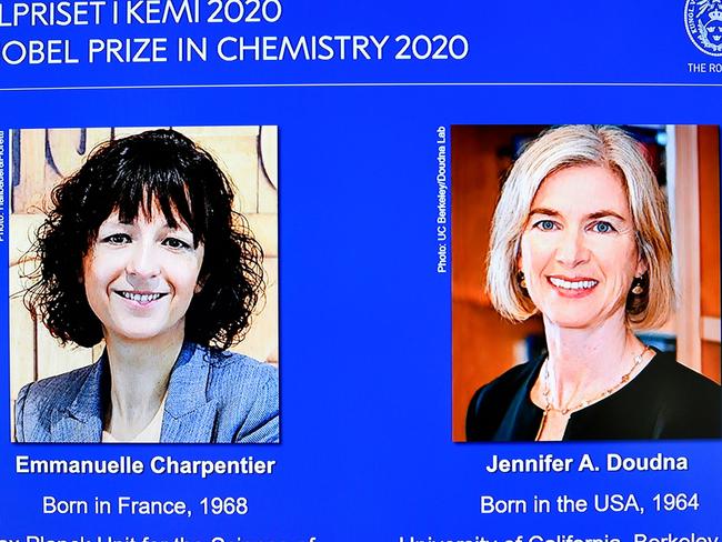 A screen shows French researcher in Microbiology, Genetics and Biochemistry Emmanuelle Charpentier (L) and US professor of Chemistry and of Molecular and Cell Biology, Jennifer Doudna during the announcement of the 2020 Nobel laureates in Chemistry during a press conference at the Royal Swedish Academy of Sciences, in Stockholm, on October 7, 2020. (Photo by Henrik MONTGOMERY / various sources / AFP) / Sweden OUT