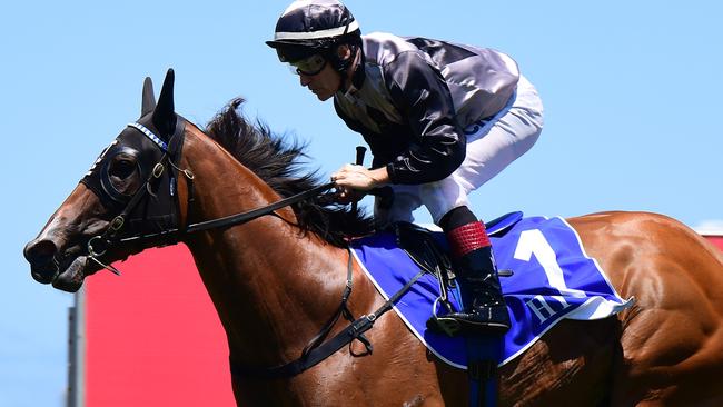 Houtzen, ridden by Jeff Lloyd. Photo: Grant Peters/Trackside Photography