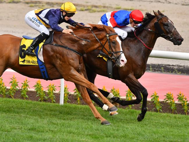 Murphy's Reward (rails) digs deep to out Nasdex. Picture: Getty Images