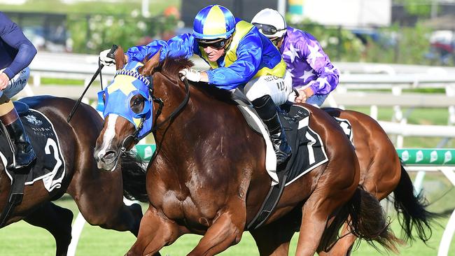 Tycoon Evie resumes in the last race at Eagle Farm. Picture: Trackside Photography