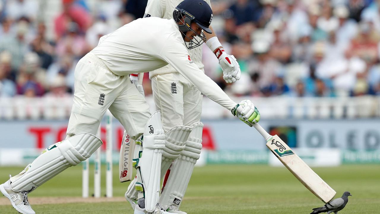 Keaton Jennings attempts to shoo a pigeon away.