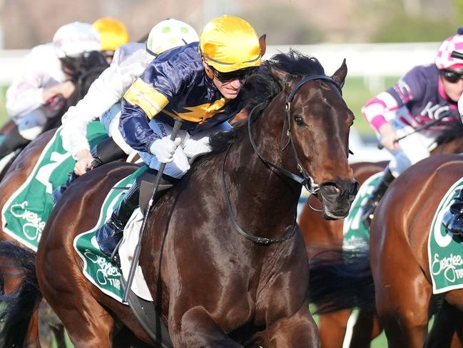 Arkansaw Kid ridden by Luke Currie wins the Evergreen Turf Regal Roller Stakes at Caulfield Racecourse on August 17, 2024 in Caulfield, Australia. (Photo by Scott Barbour/Racing Photos via Getty Images)