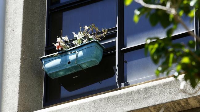 A lonely window plant at the Sirius Tower in The Rocks, one year after the last tenants were moved out of the Public housing tower. Picture: John Appleyard