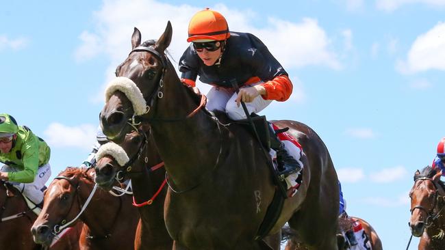 Maharba ridden by Damian Lane wins the TCL Talindert Stakes at Flemington Racecourse on February 18, 2023 in Flemington, Australia. (Photo by George Sal/Racing Photos via Getty Images)