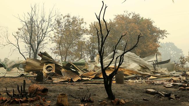 Fire-ravaged East Gippsland. Picture: Mark Stewart