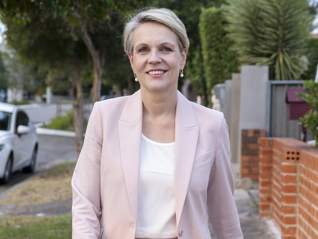 Labour deputy leader Tanya Plibersek announced her shock decision not to run for the party’s top job today. Picture: Justin Lloyd.