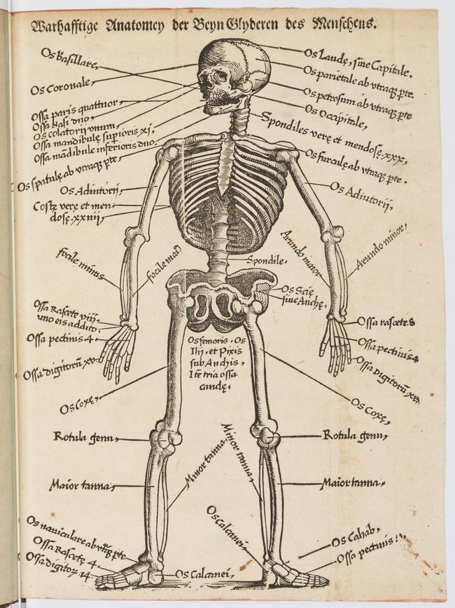 Feldtbuch der Wundartzney, 1540 Field book of surgery by Hans von Gersdorff. credit: SLNSW