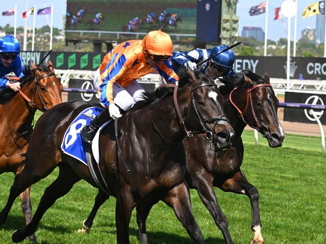 MELBOURNE, AUSTRALIA - NOVEMBER 11: Opie Bosson riding Imperatriz winning Race 6, the Darley Champions Sprint,during Stakes Day at Flemington Racecourse on November 11, 2023 in Melbourne, Australia. (Photo by Vince Caligiuri/Getty Images)