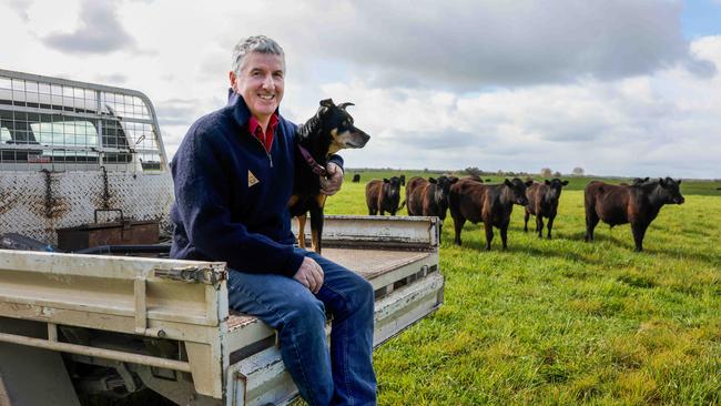 Colin Henke and some Angus cattle. Picture: Nicole Cleary