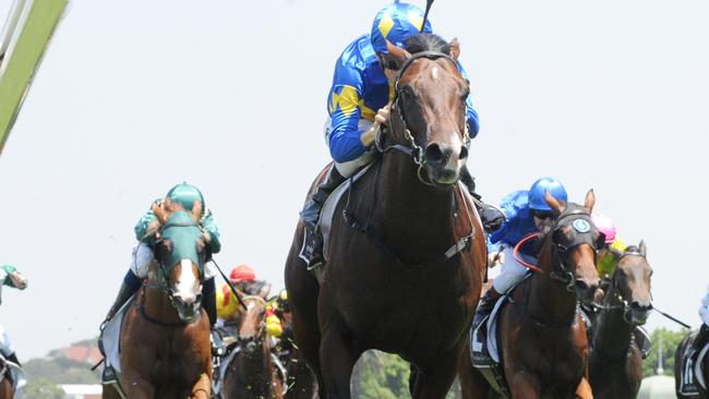 Jockey Blake Shinn rides Dawn Passage to victory in race 1, the Australian Turf Club Handicap during Australia Day At Royal Randwick Race Day at Royal Randwick Racecourse in Sydney, Saturday, January 26, 2019. (AAP Image/Simon Bullard) 