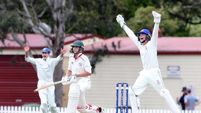 Churchie appeal for LBW. Picture by Richard Gosling