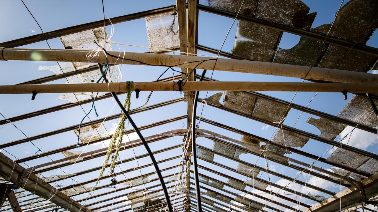 The glasshouses were extensively smashed by the hail storm at the Xuan Nguyen Family Enterprises farms in Buckland Park. Picture: The Advertiser/ Morgan Sette