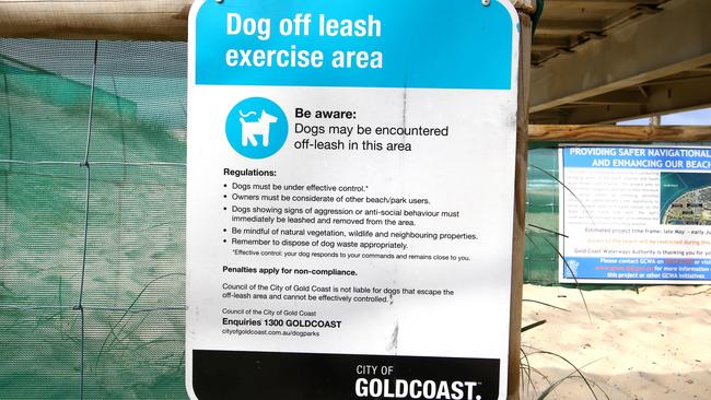 City off Gold Coast dog patrol officers have been cracking down on owners and their dogs off leash in On Leash only area's along The Spit — Photo: David Clark