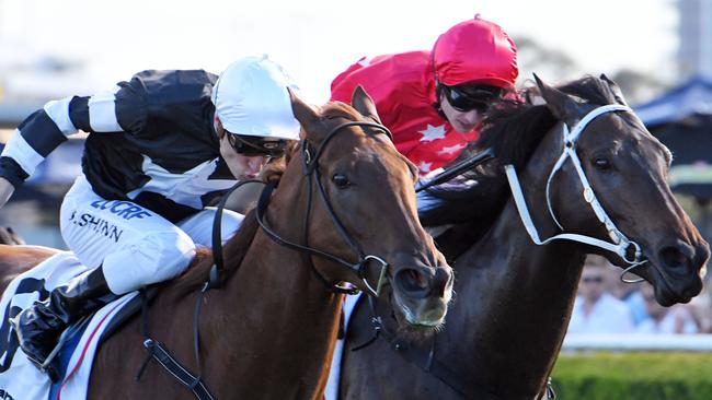 Nieta, left, will be hard to beat in the last race on Saturday.