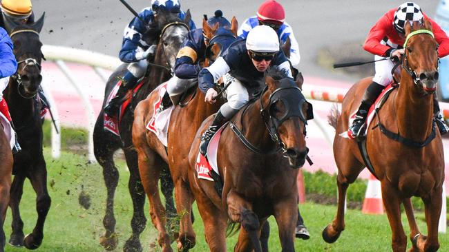 Homesman is on target for the Cox Plate. Picture: AAP