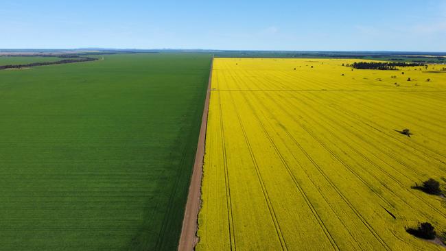 PSP Investments-backed Altora Ag recently paid $70 million for Duxton Farms’ 8000-hectare Timberscombe Aggregation near Forbes in NSW.