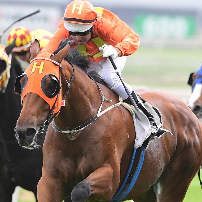 The Harrovian winning at Doomben. Picture: Trackside Photography