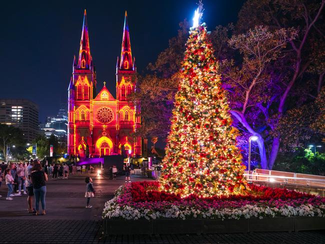 Sydney’s St. Mary's Cathedral illuminated Christmas lights. Picture: Daniel Tran