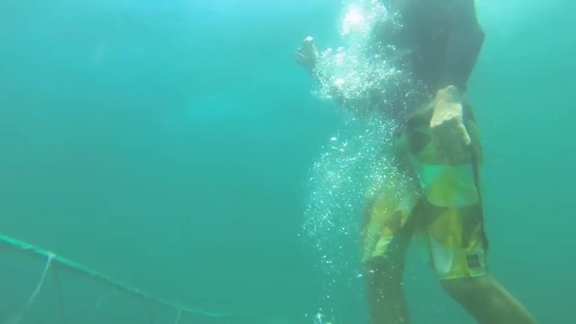 Conservationist swims under shark nets to demonstrate ineffectiveness