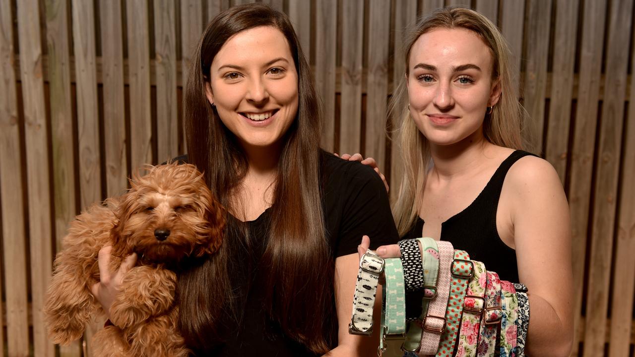 Townsville pet business Paw & Polly owners Maddy Kelly and Kayla Apap work  in the vet industry and make high-end animal collars and leads | Townsville  Bulletin