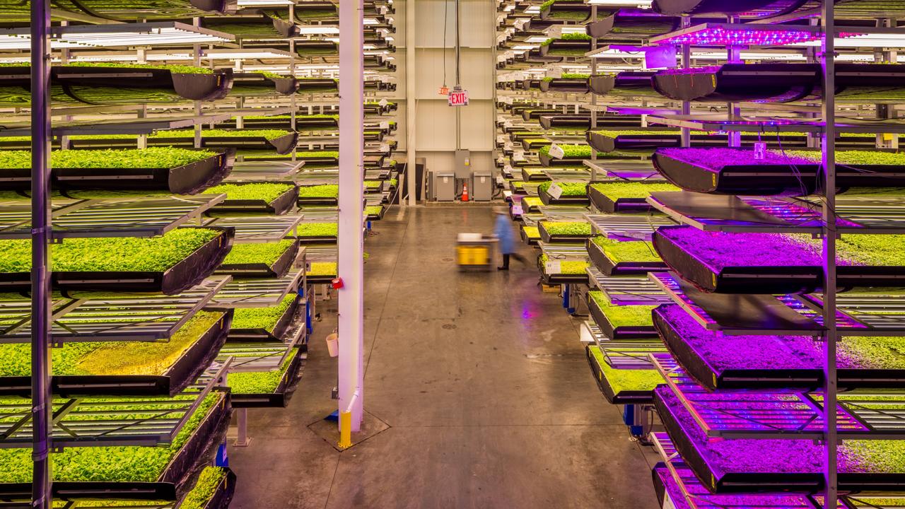 AeroFarms Indoor Vertical Farming: Would You Pay More For This Food ...