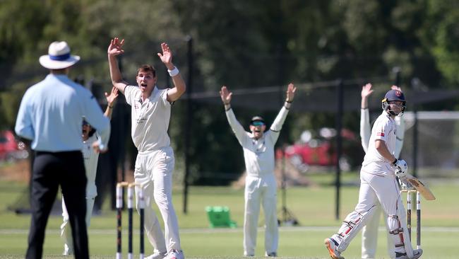 Bailey Wightman appeals for an LBW. Picture: Dean Martin