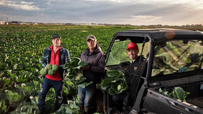 Horticulture Farmers of the Year, the Musolino family from South Australia.