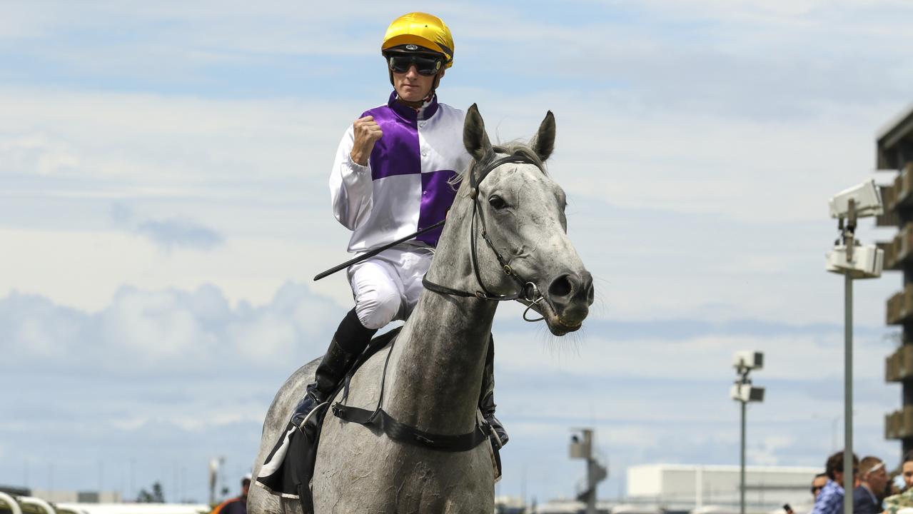 Kyle Wilson-Taylor is in top form all over South East Queensland this season. Picture: Racing Queensland.