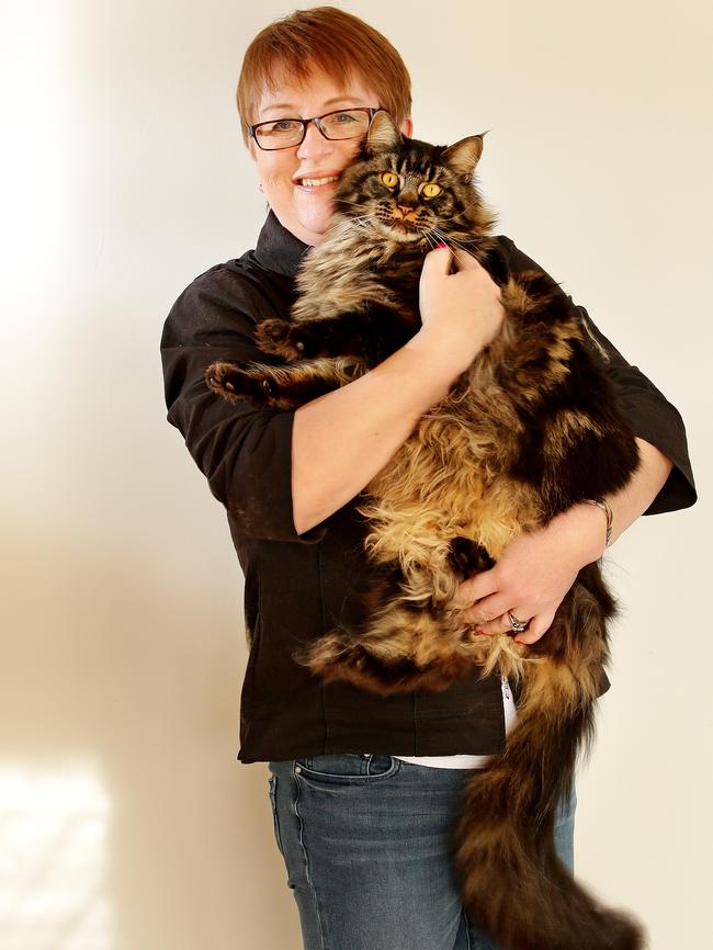 Karen Milton with her Maine Coon cat Ollie. Picture: Troy Snook