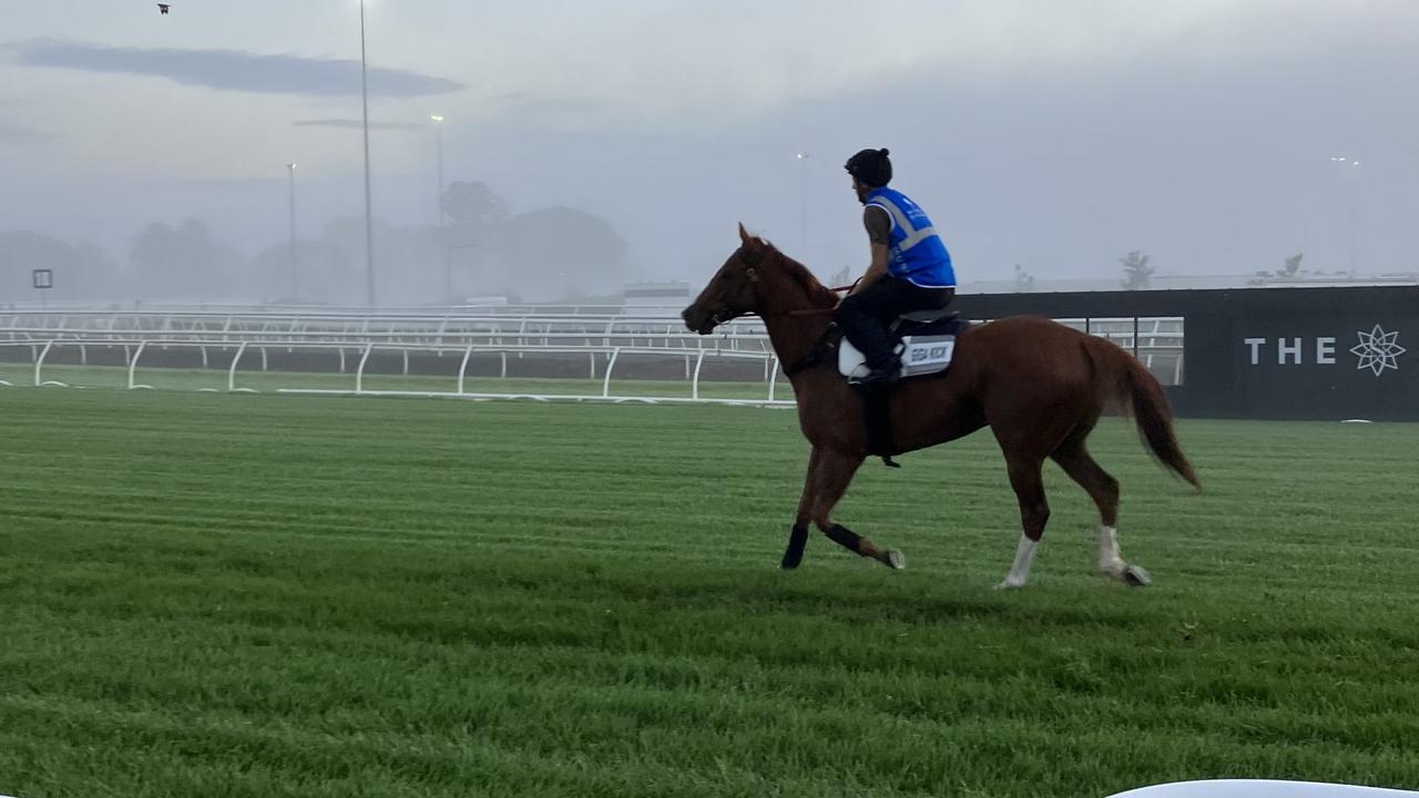 Clayton Douglas gave Giga Kick a spin around Eagle Farm early on Tuesday. Picture: Ben Dorries.