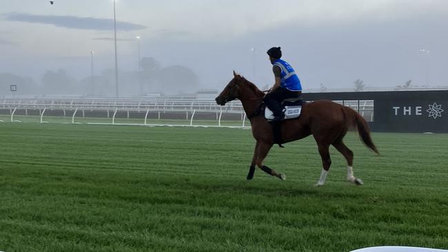 Clayton Douglas gave Giga Kick a spin around Eagle Farm early on Tuesday. Picture: Ben Dorries.