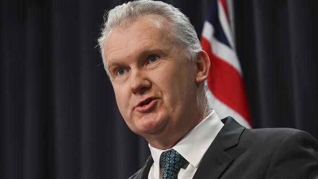 The Coalition has called on Home Affairs Minister Tony Burke to tighten visa vetting rules for people fleeing from Gaza or refuse applications altogether. Picture: NewsWire/ Martin Ollman