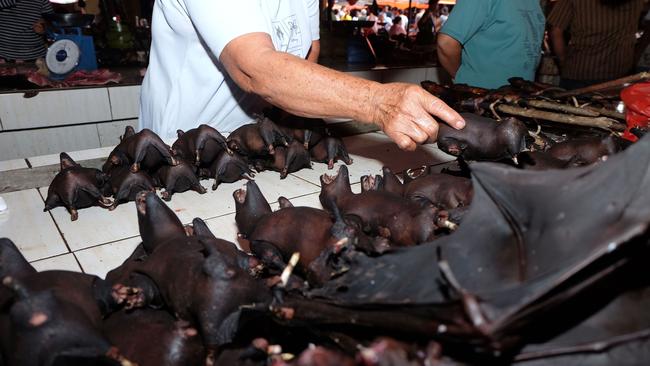 A vendor sells bats at the Tomohon Extreme Meat market on Sulawesi island in Indonesia on February 8. Business is booming despite calls to take them off the menu after the COVID-19 outbreak.