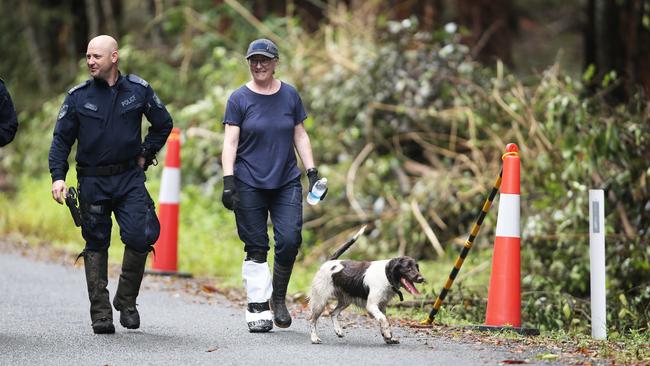 Wags the cadaver dog on the hunt for more clues after new evidence is found on the eastern side of Batar Creek road. Picture: NCA NewsWire / Peter Lorimer.