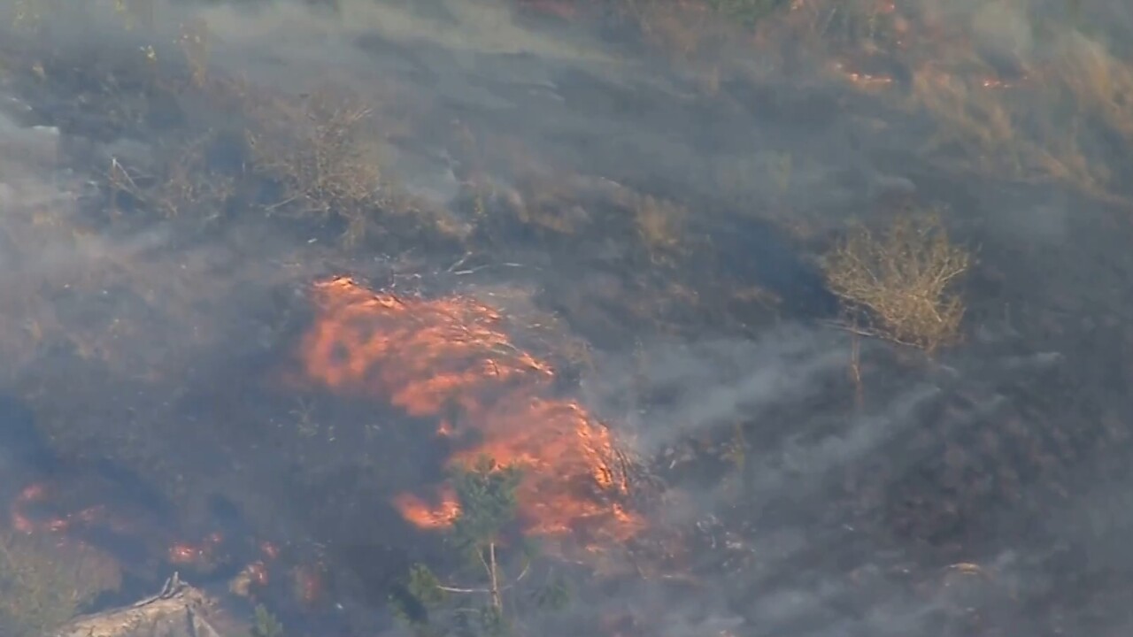 Blaze in southeast Queensland now under control