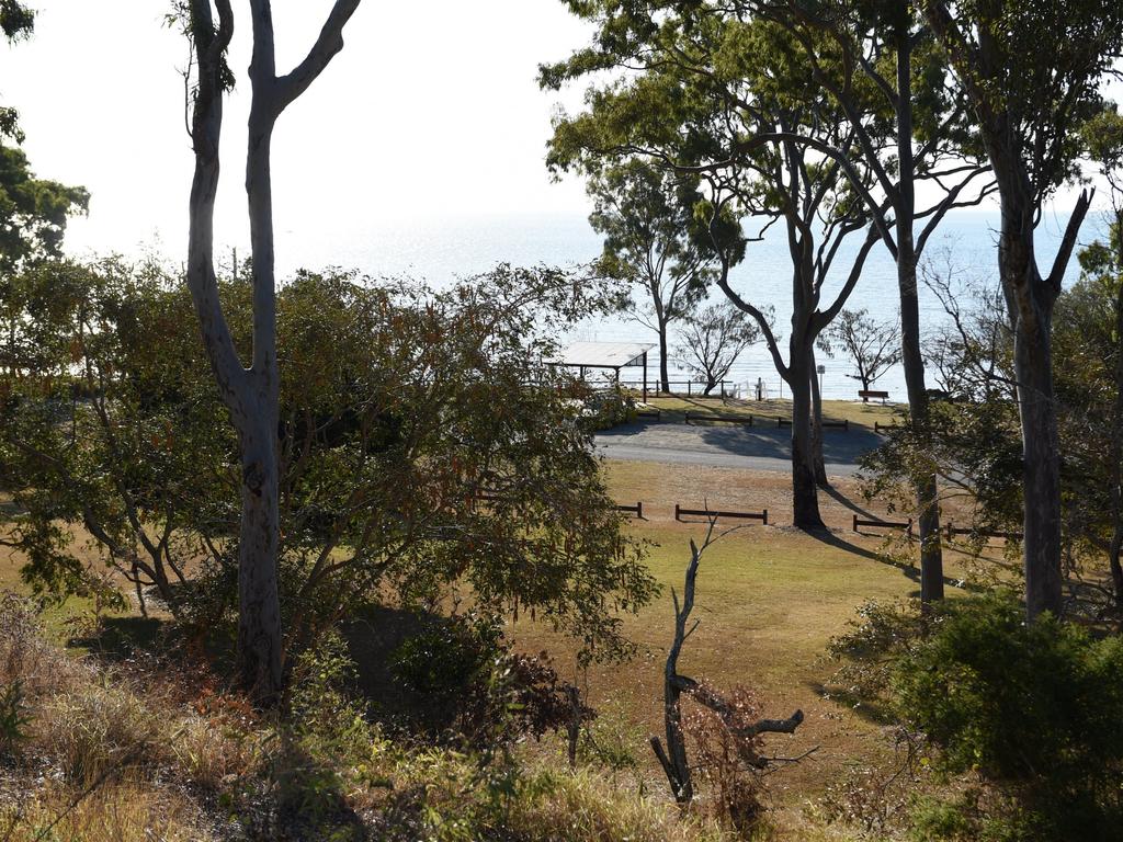 Trees and undergrowth poisoned in Mant Street, Point Vernon. The view through the trees to the ocean.