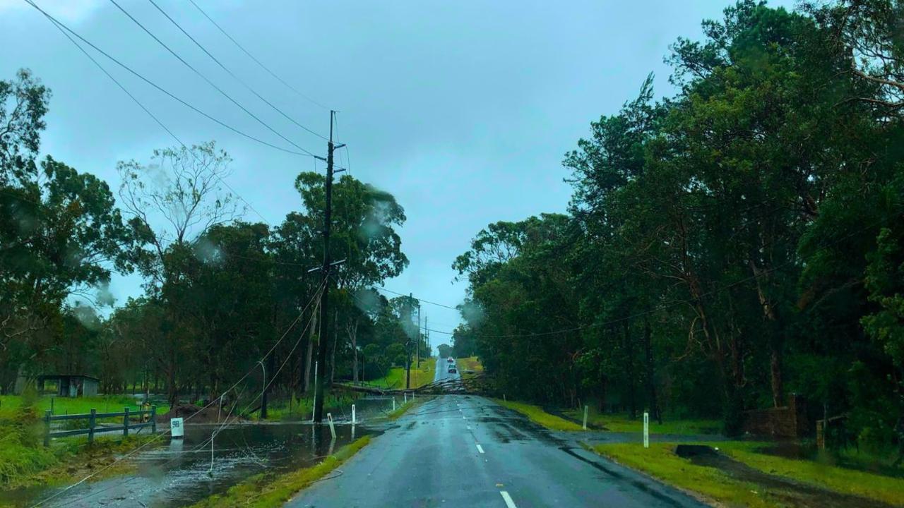 Trees were blown into powerlines at Redland Bay where access to the NBN and mobile networks was wiped out for six days. Picture: Judith Kerr